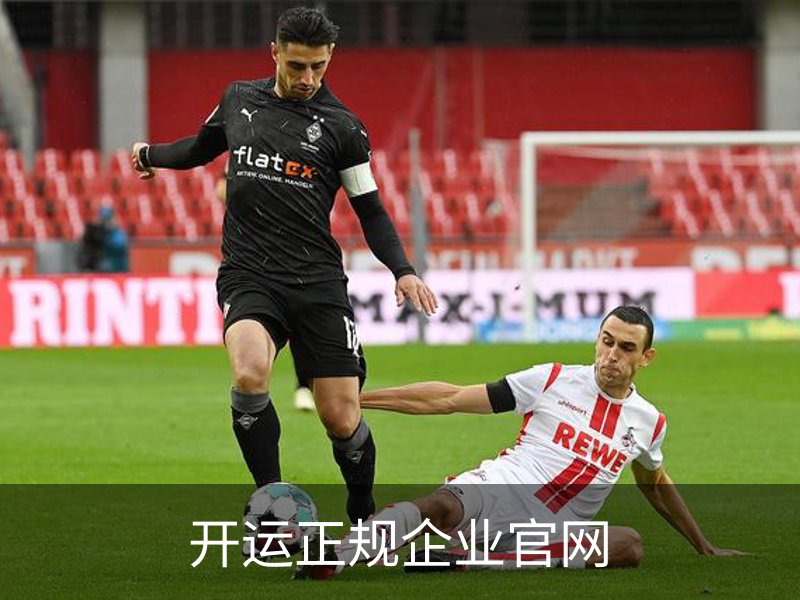 开运正规企业官网概况
